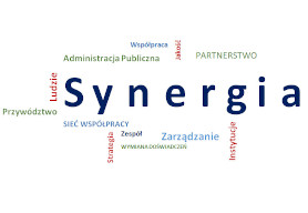 Read more about the article Synergia – zawieszenie rekrutacji i zmiana harmonogramu III edycji projektu