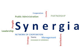 logo Synergia PL