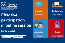 Read more about the article Effective participation in online session