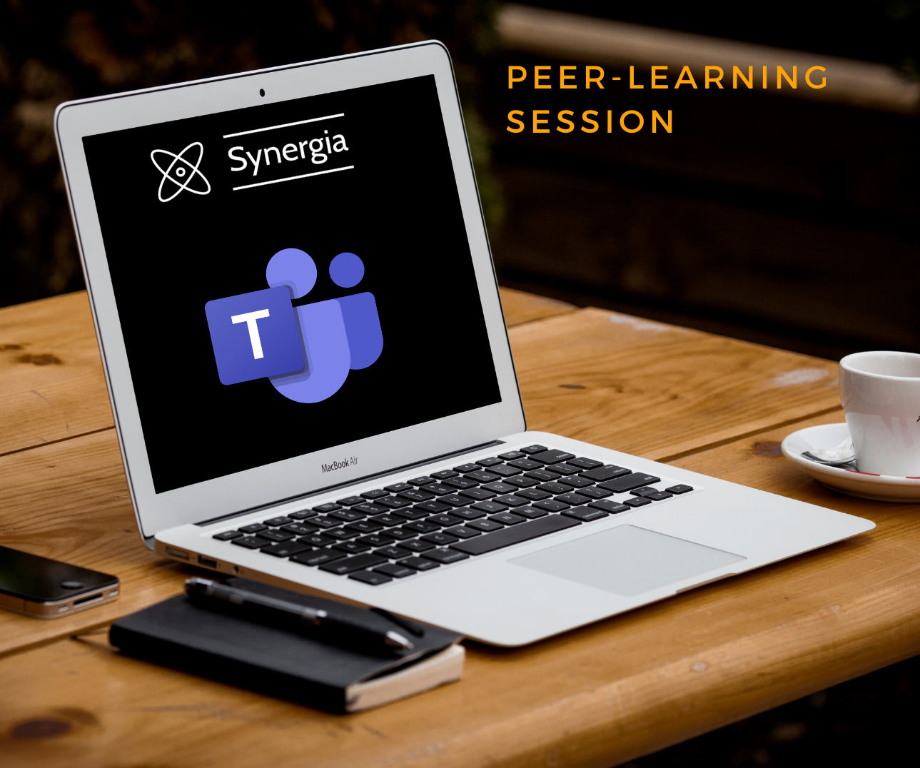 Peer-learning session – 8th-10th February 2021 – Synergia