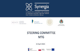 Read more about the article Steering Committee Meeting – preparations for recruitment for the 2nd edition of the SYNERGIA