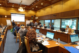 Read more about the article Synergia – additional training session in Sofia